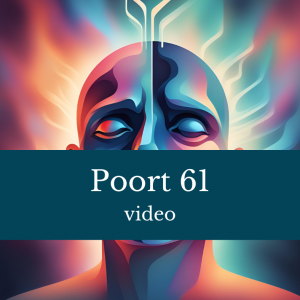 Poort 61 video